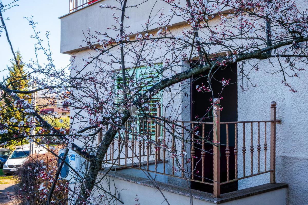 Casa Milohnići, Krk, 280m2