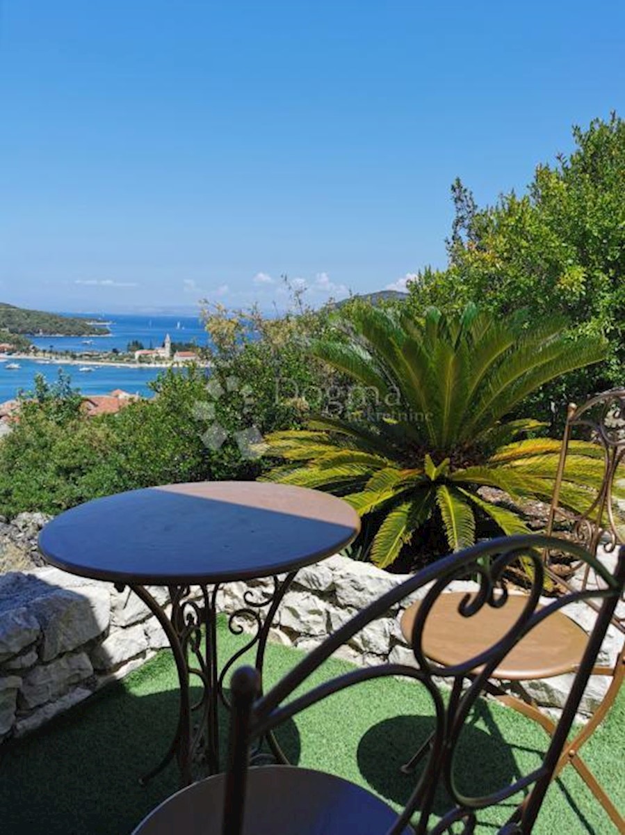 Casa Vis, Grad Vis, 311m2