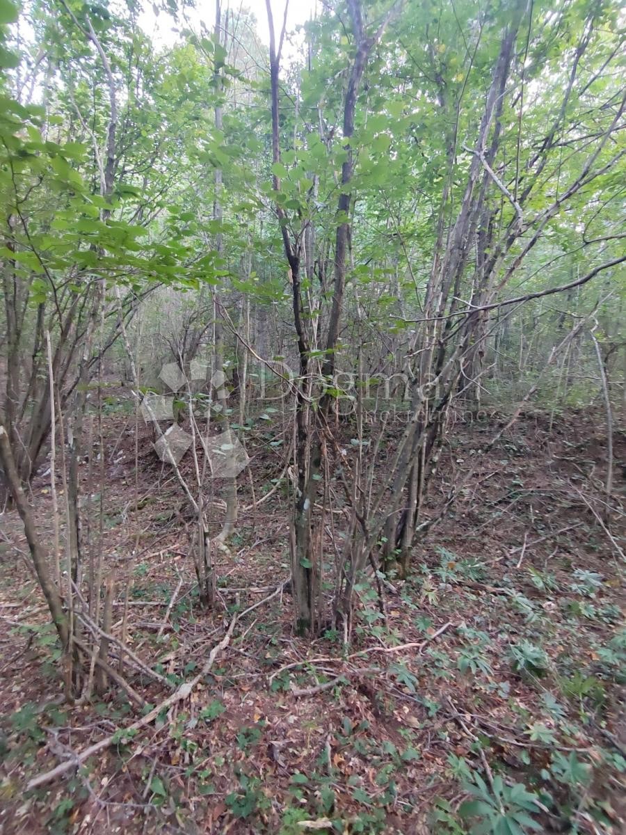 Terreno Klana, 2.640m2