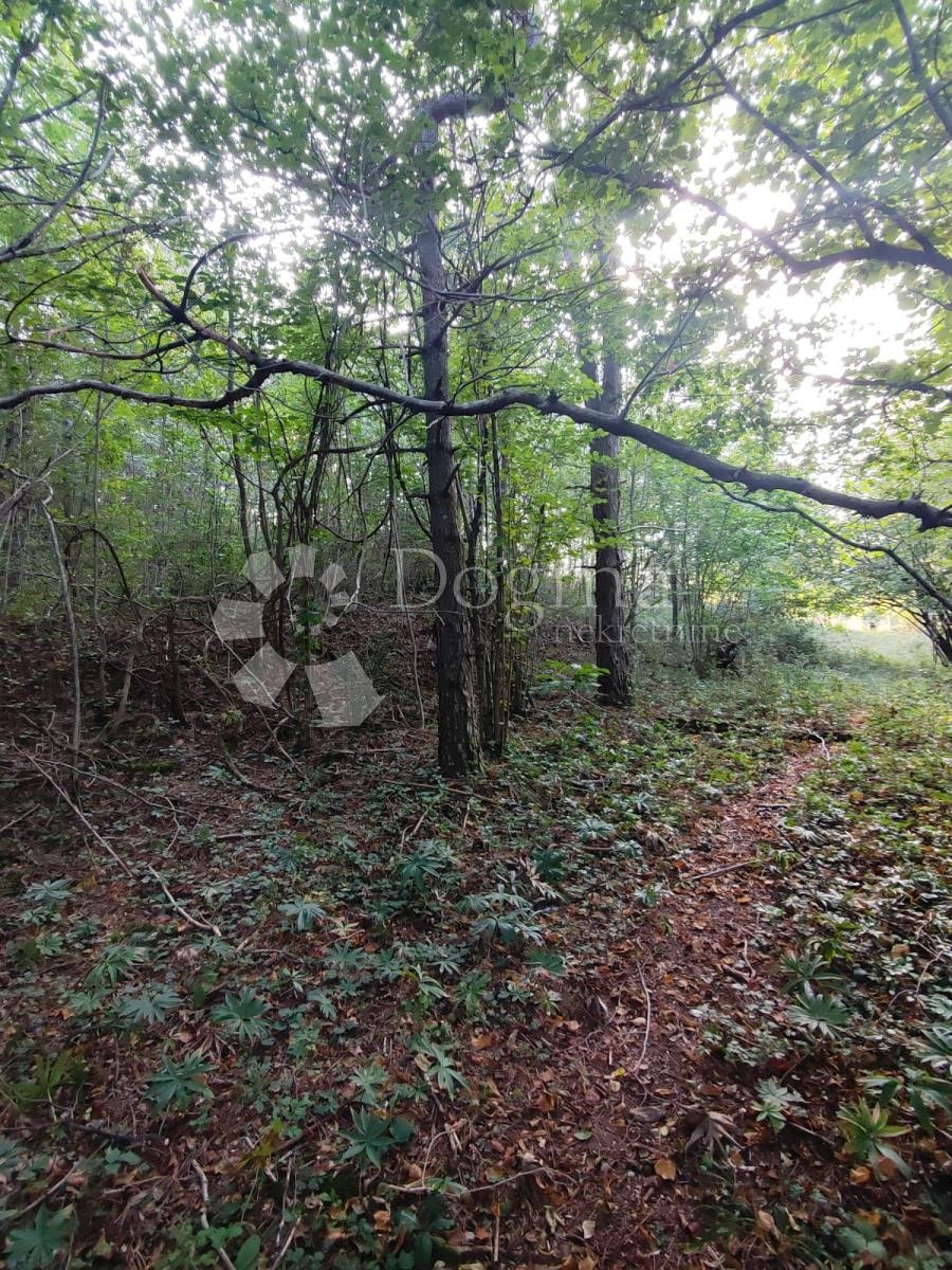 Terreno Klana, 2.640m2