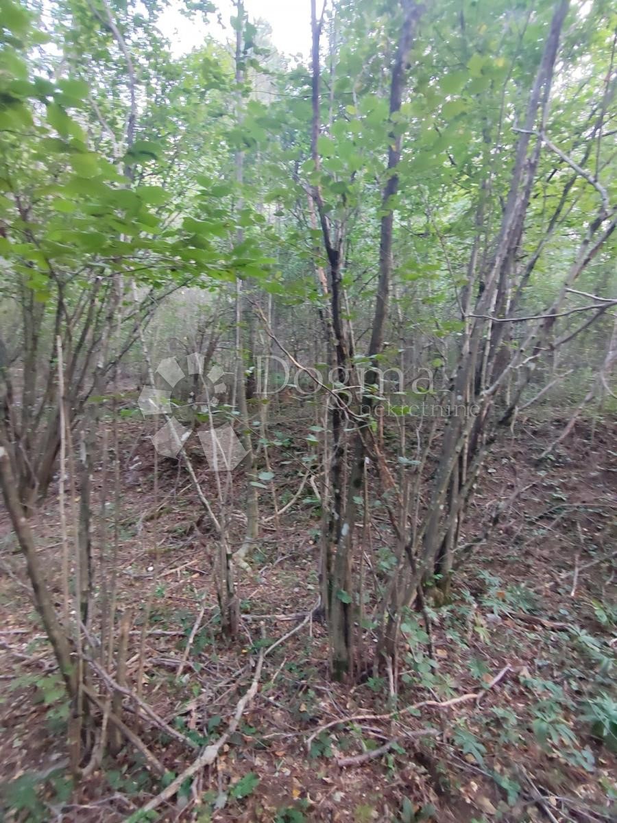 Terreno Klana, 2.640m2