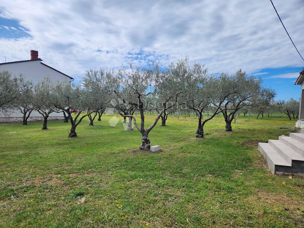 Casa Galižana, Vodnjan, 121m2