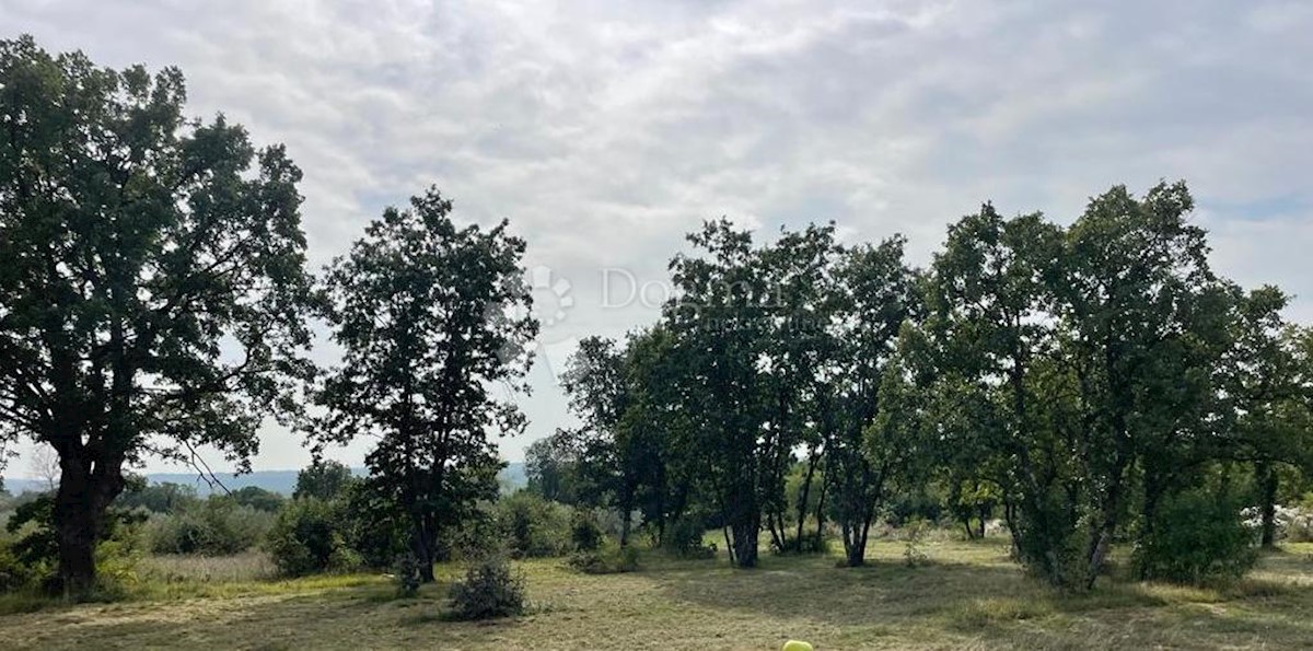 Terreno Šajini, Barban, 964m2