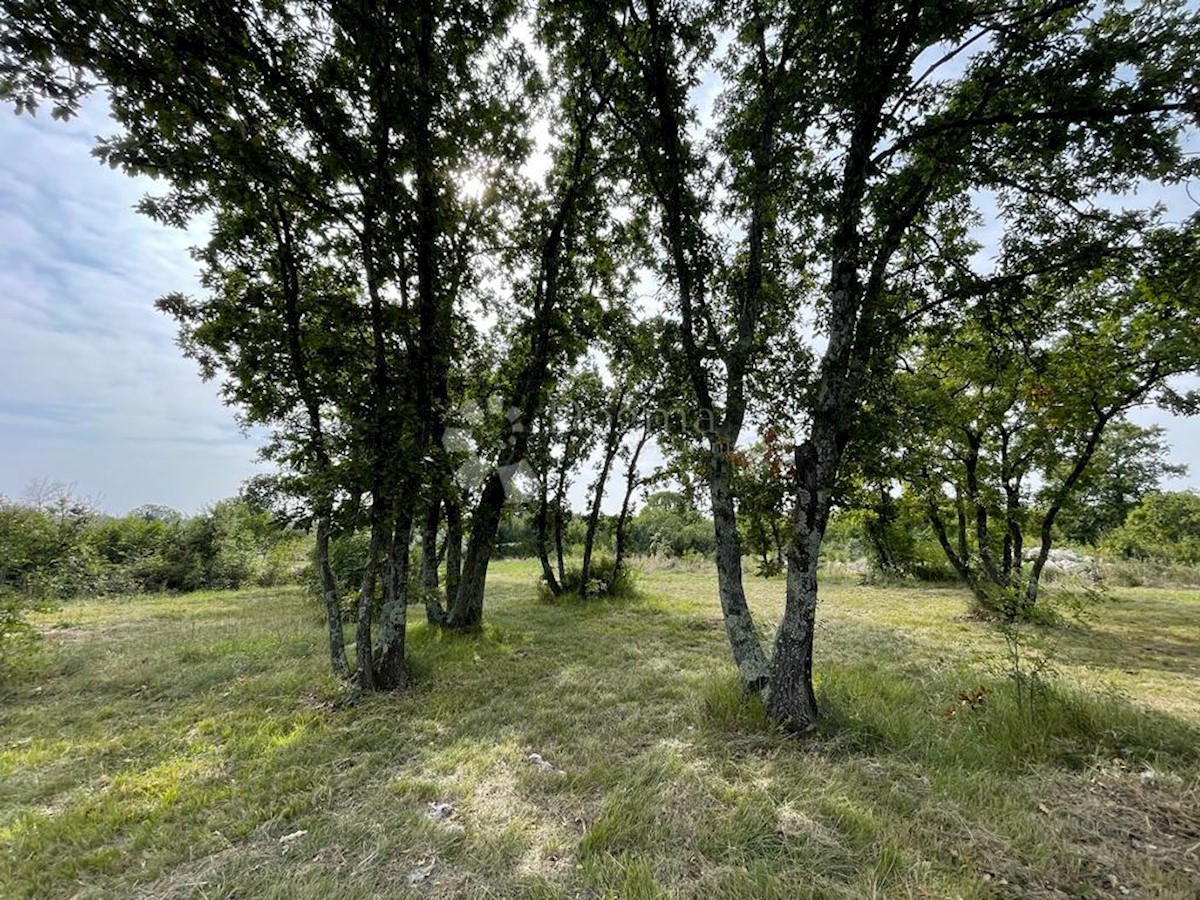 Terreno Šajini, Barban, 964m2