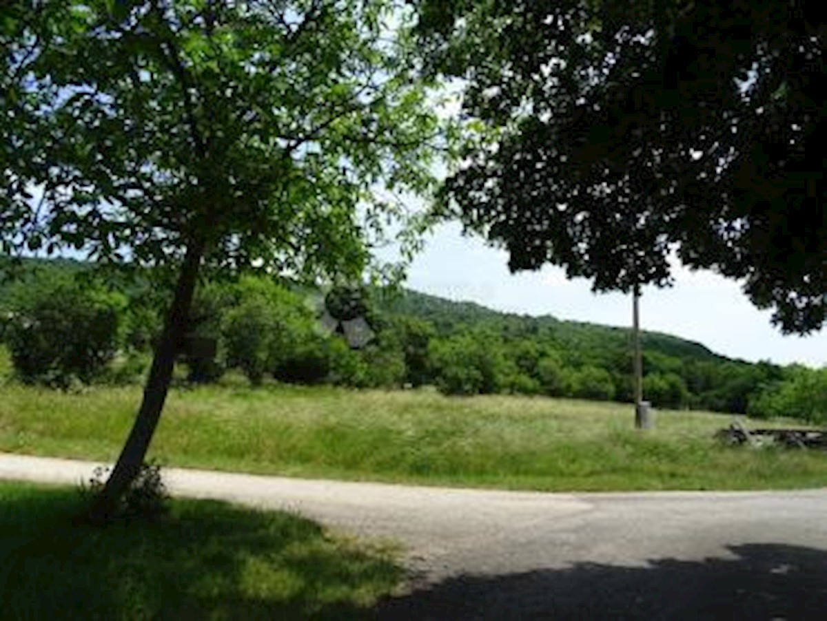 Terreno Roč, Buzet, 15.313m2