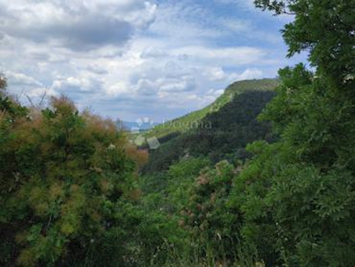 Terreno Roč, Buzet, 15.313m2