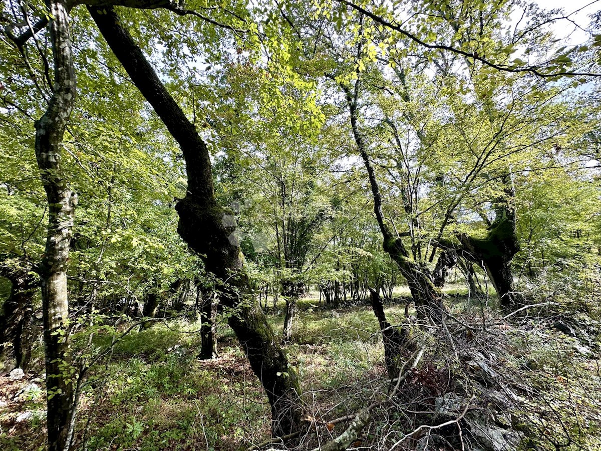 Terreno Zidarići, Malinska-Dubašnica, 4.334m2