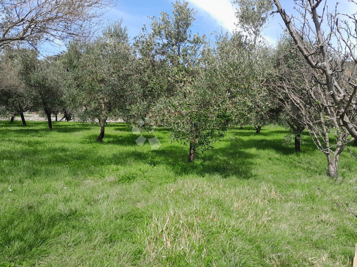 Appartamento Kampor, Rab, 61,68m2