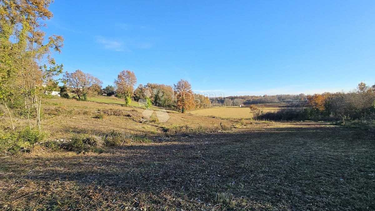 Terreno Brtonigla, 3.000m2