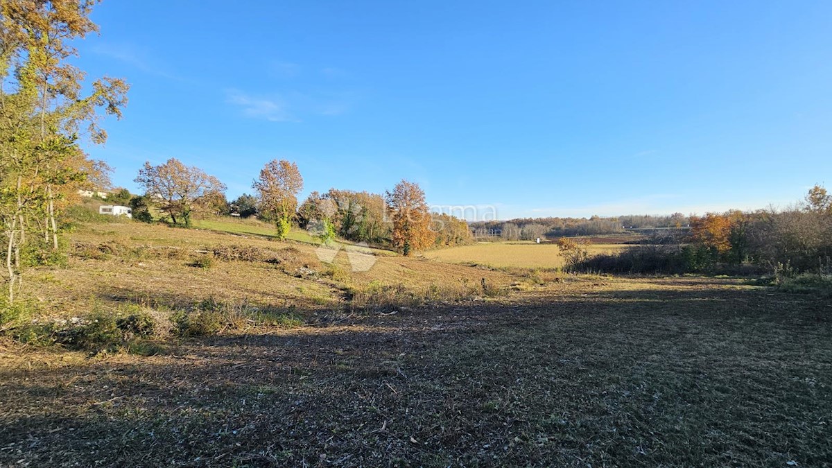 Terreno Brtonigla, 3.000m2