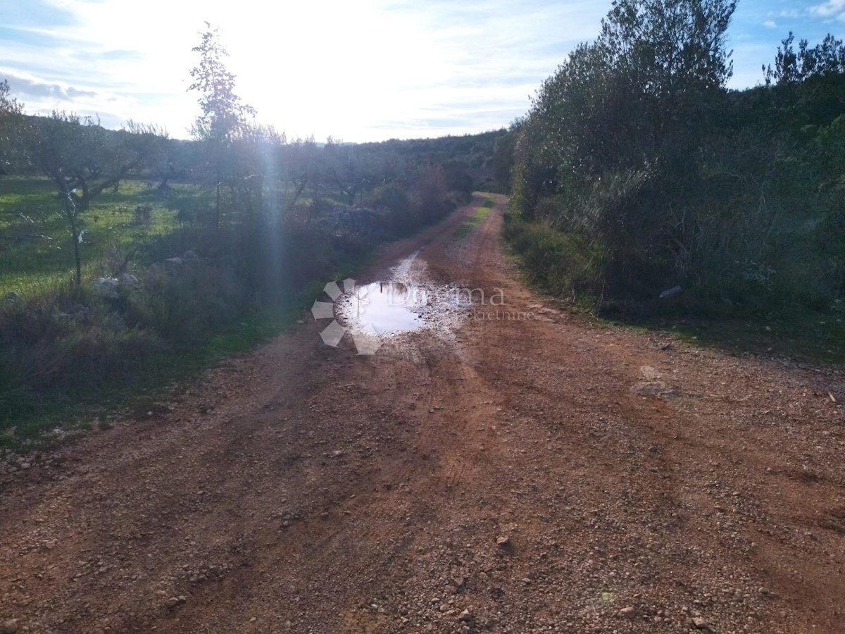 Terreno Novo Selo, Selca, 37.240m2