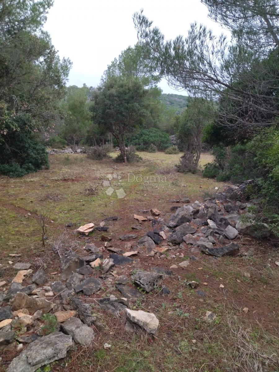 Terreno Novo Selo, Selca, 37.240m2