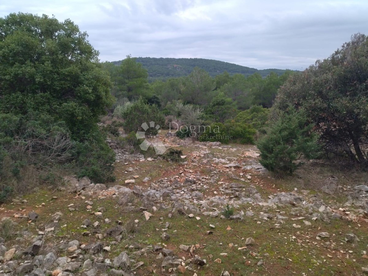 Terreno Novo Selo, Selca, 37.240m2