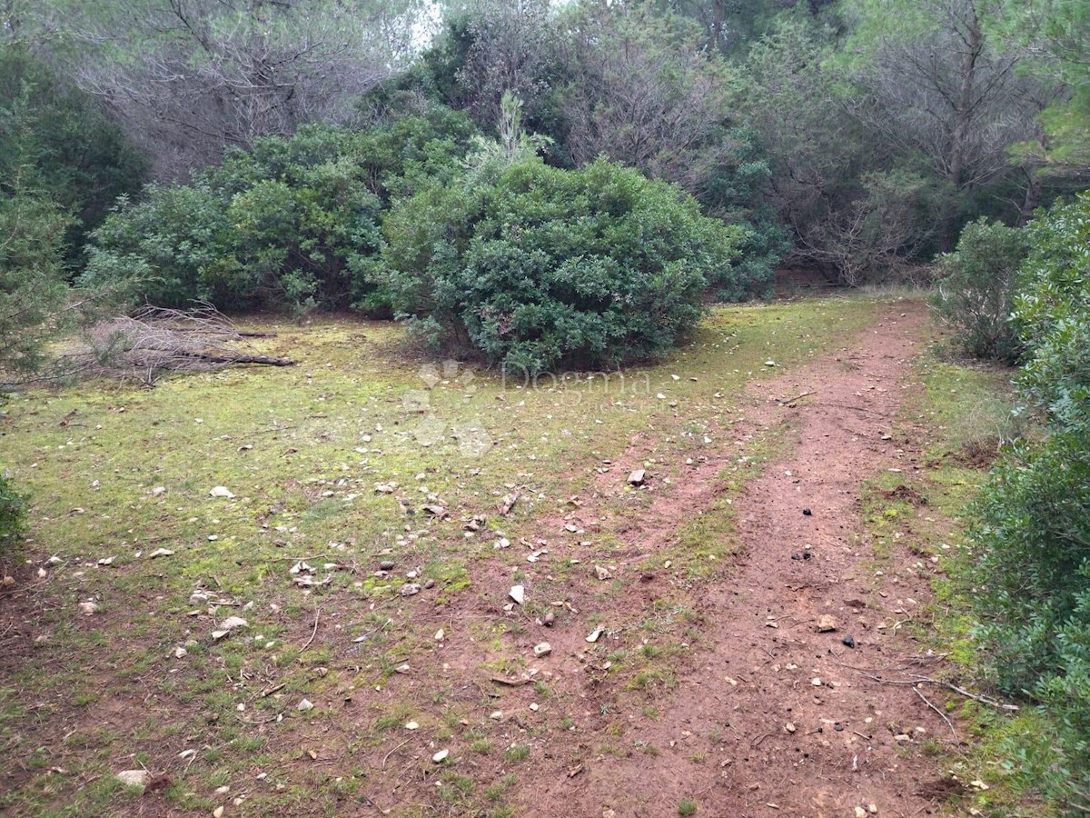 Terreno Novo Selo, Selca, 37.240m2