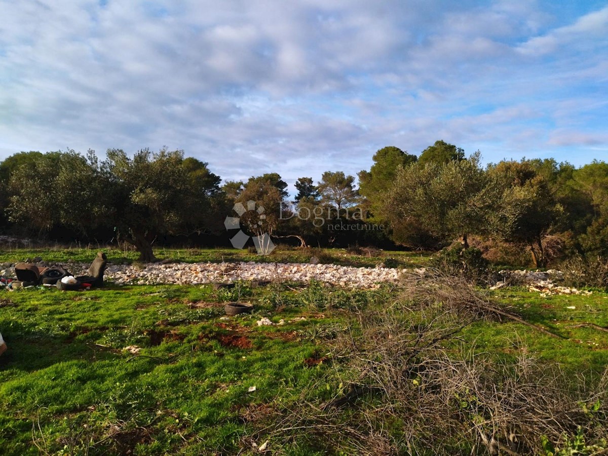 Terreno Novo Selo, Selca, 37.240m2