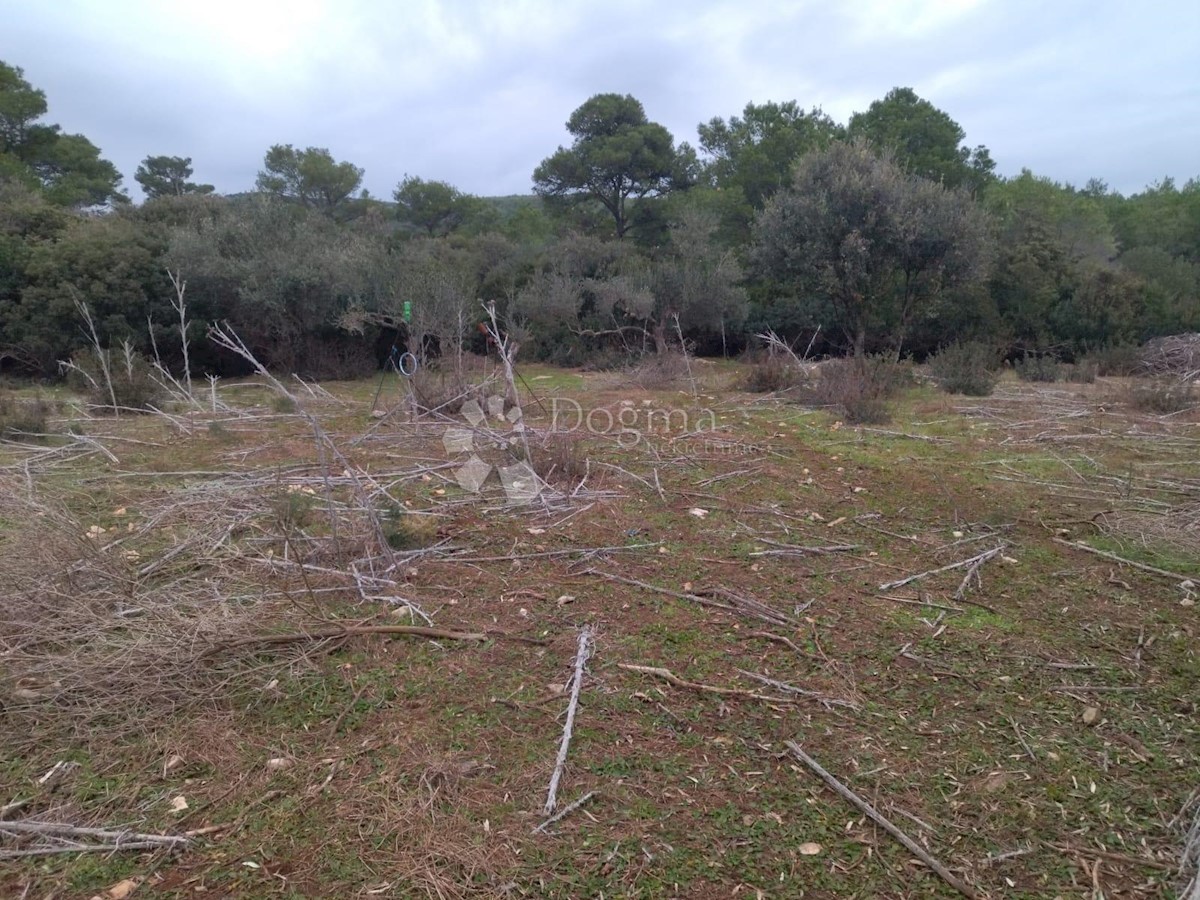 Terreno Novo Selo, Selca, 37.240m2