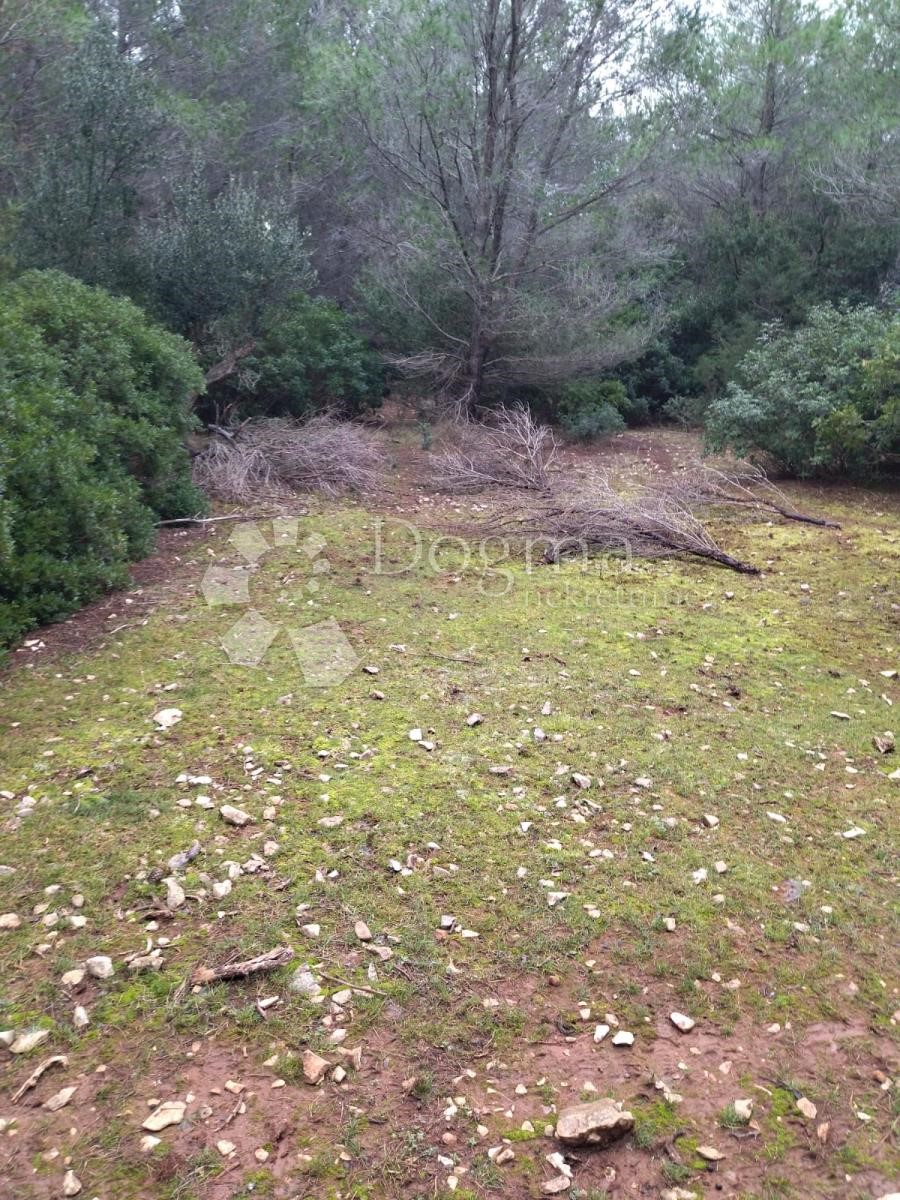 Terreno Novo Selo, Selca, 37.240m2