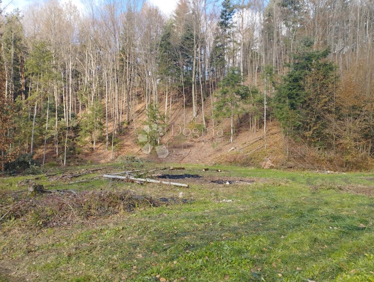 Terreno Pila, Stubičke Toplice, 3.380m2