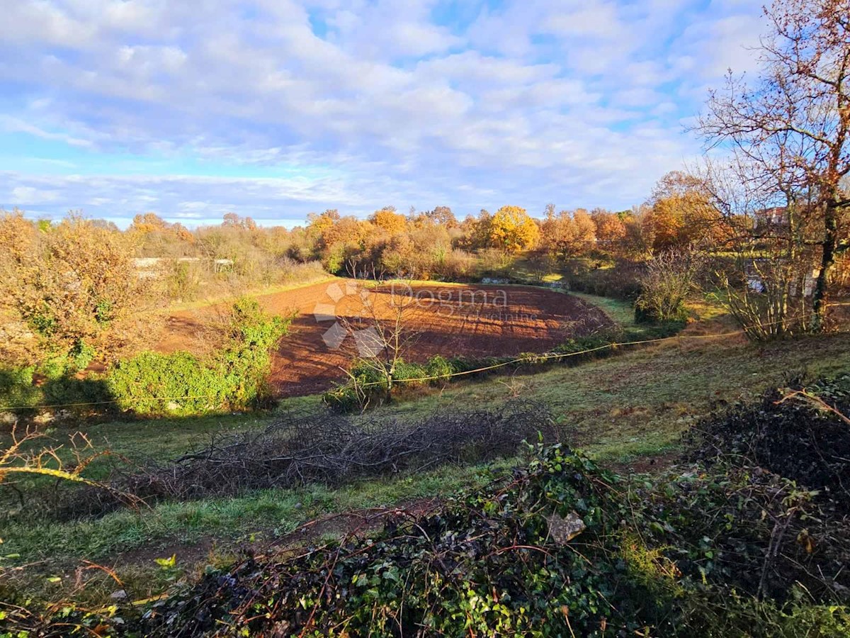 Terreno Juršići, Svetvinčenat, 3.062m2