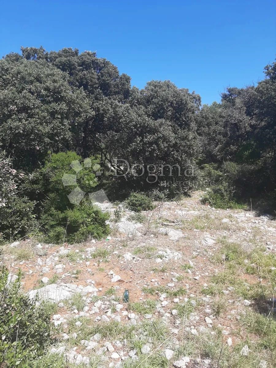Terreno Novalja, 17.966m2