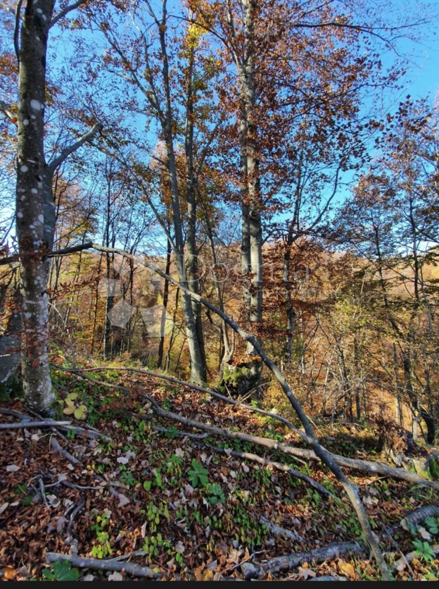 Terreno Modruš, Josipdol, 44.679m2