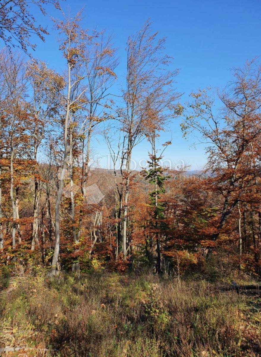 Terreno Modruš, Josipdol, 44.679m2