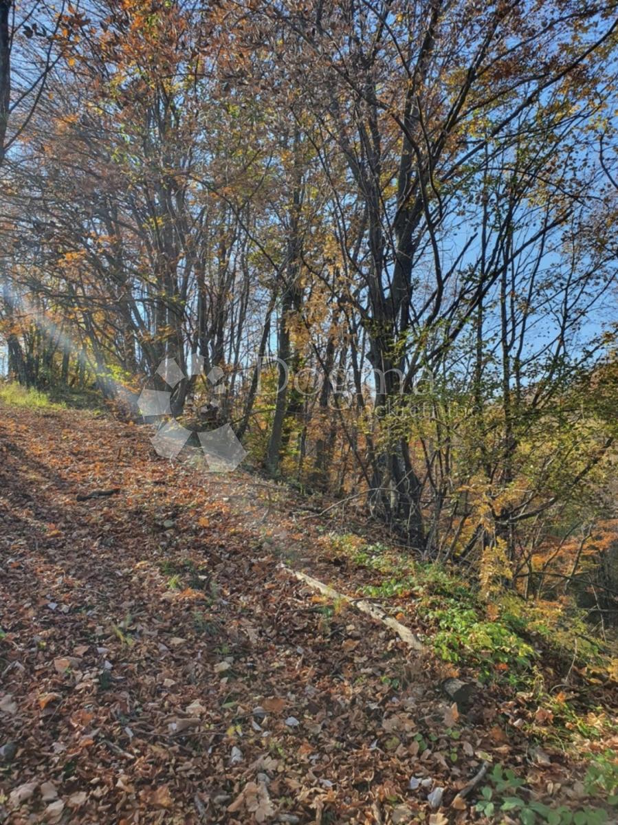 Terreno Modruš, Josipdol, 44.679m2