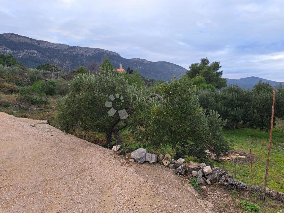 Terreno Hvar, 48.000m2