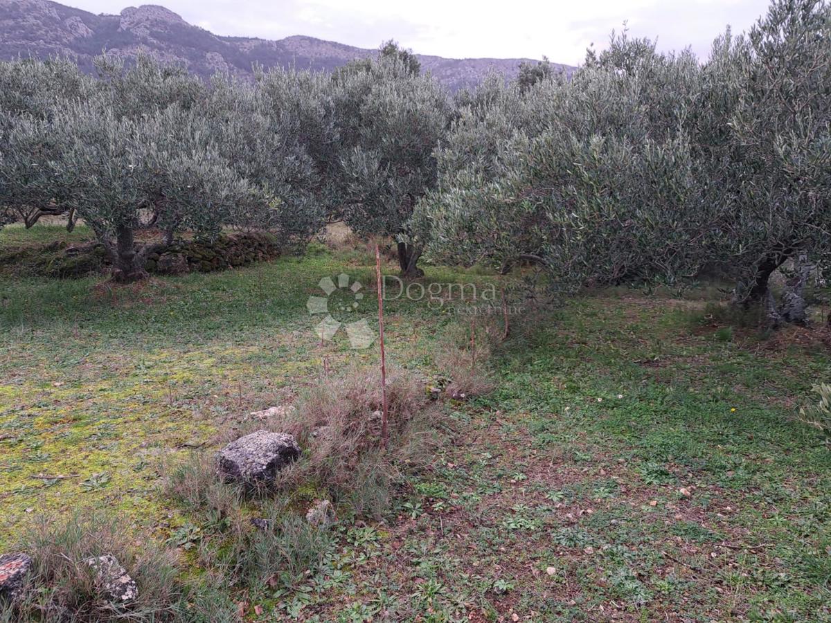 Terreno Hvar, 48.000m2