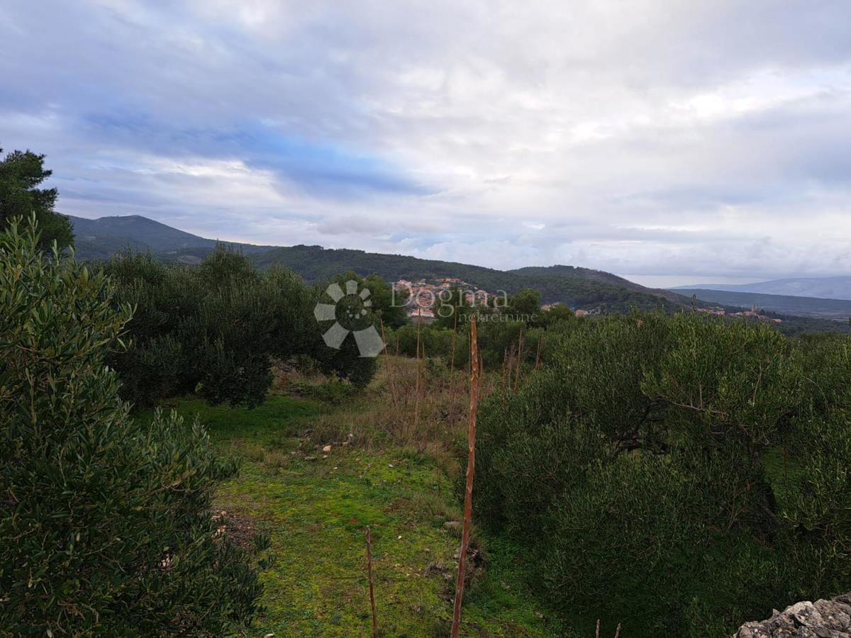 Terreno Hvar, 48.000m2