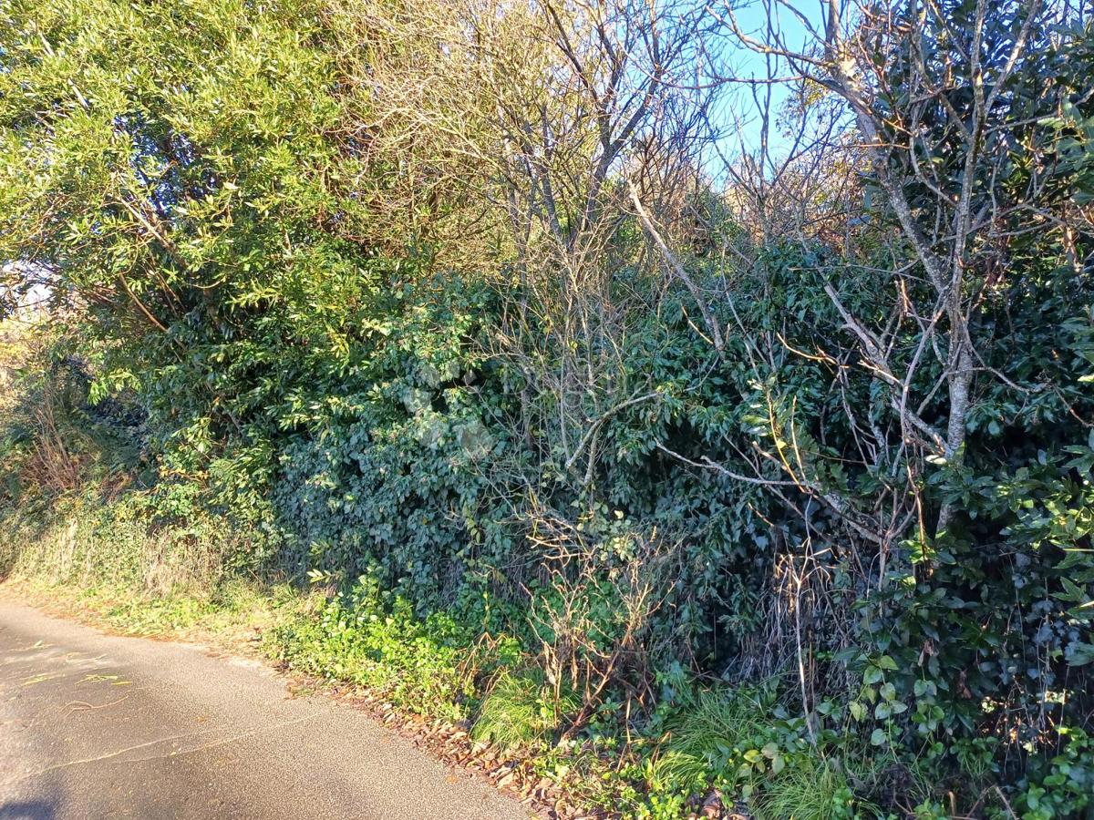 Terreno Buzet, 28.694m2