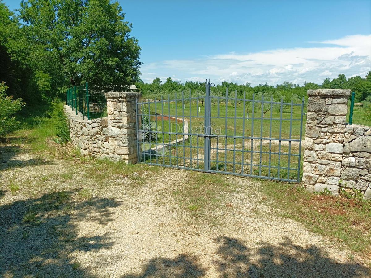 Terreno Rovinj, 10.038m2