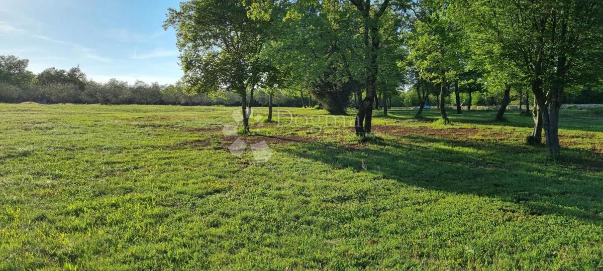 Terreno Rovinj, 10.038m2