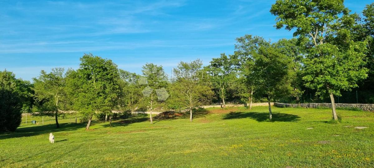 Terreno Rovinj, 10.038m2