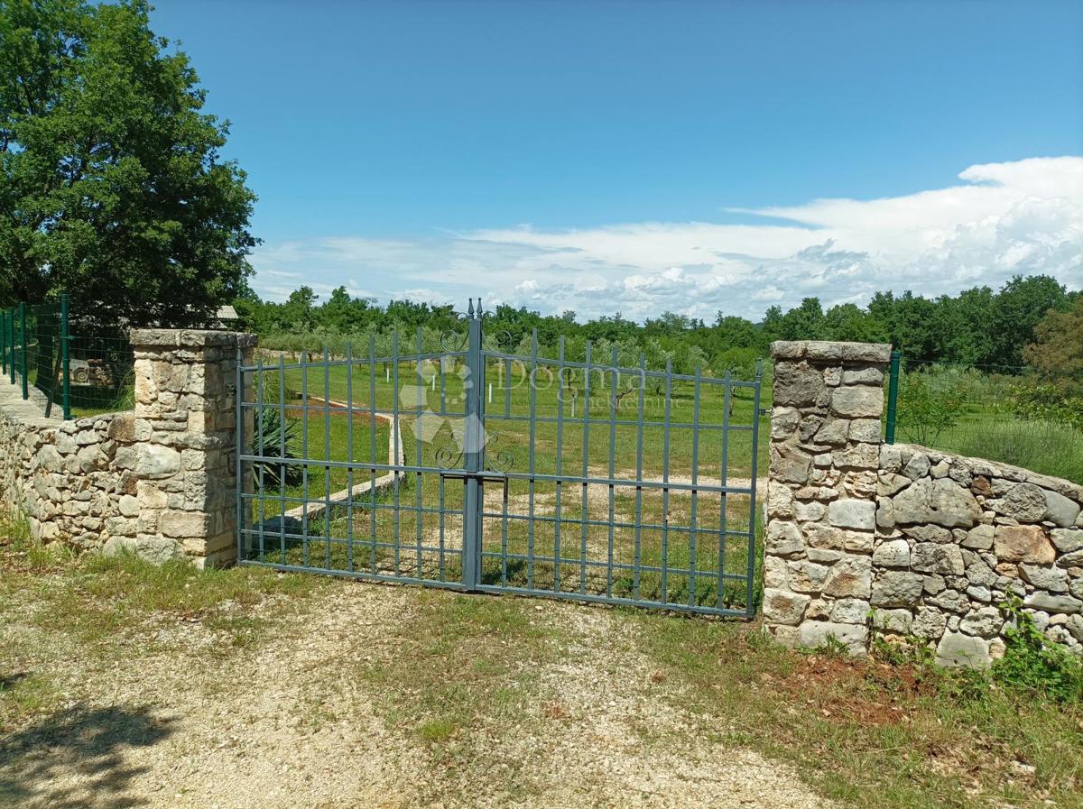 Terreno Rovinj, 10.038m2