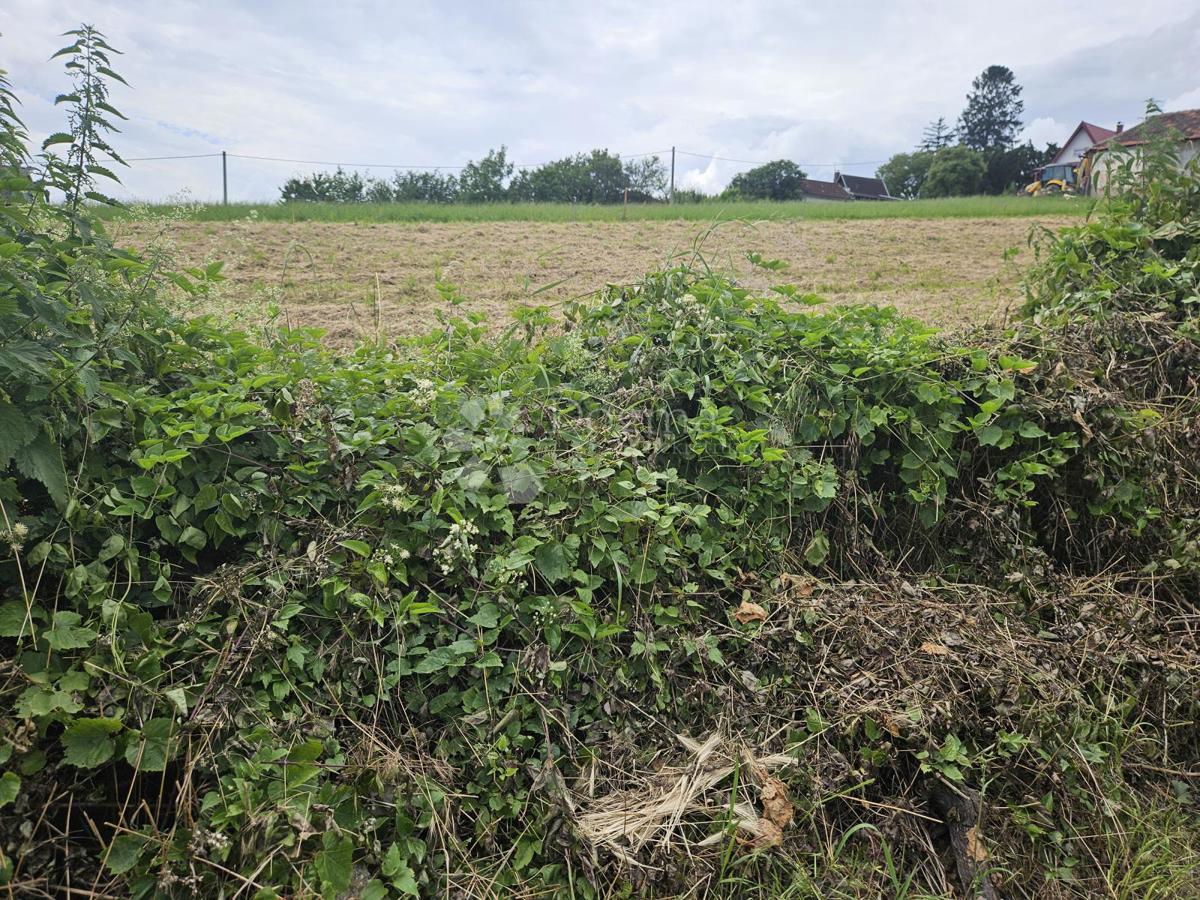 Terreno Varaždin Breg, Gornji Kneginec, 1.056m2