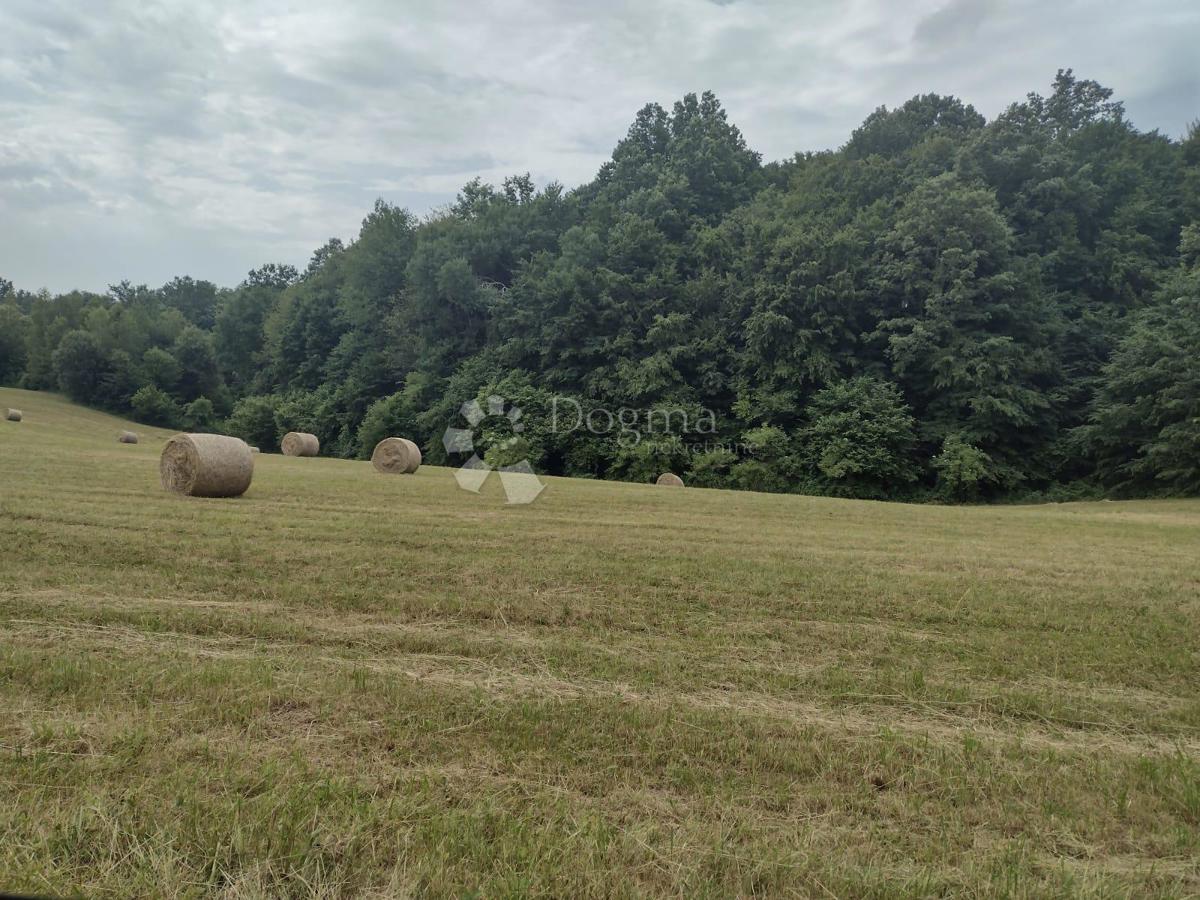 Locale commerciale Blatuša, Gvozd, 21m2
