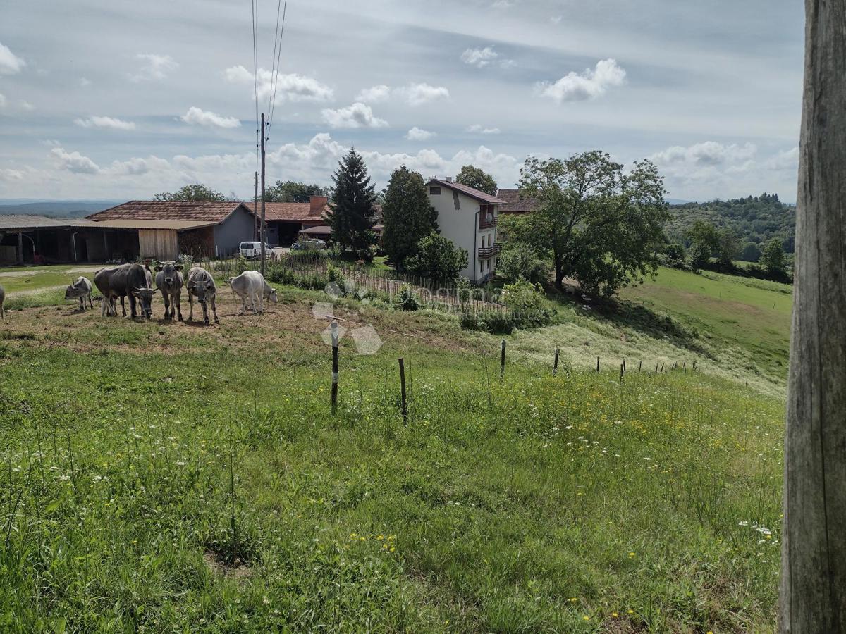 Locale commerciale Blatuša, Gvozd, 21m2