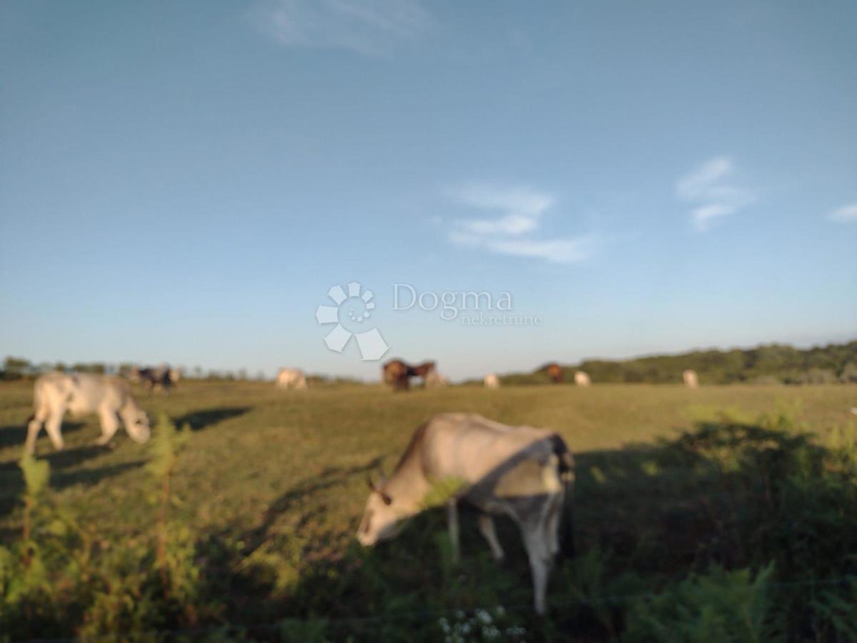Locale commerciale Blatuša, Gvozd, 21m2