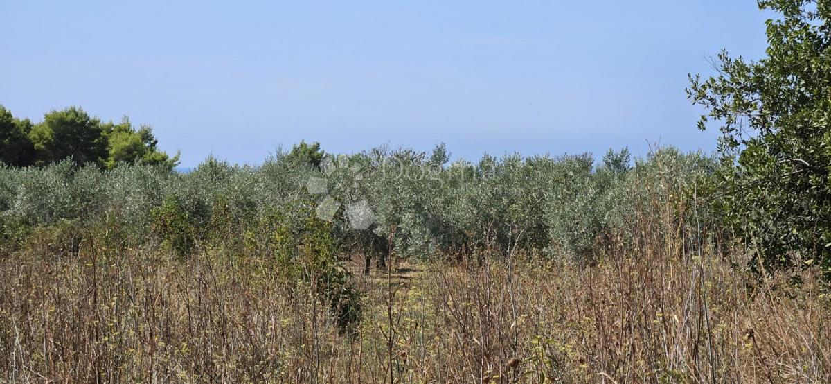 Terreno Premantura, Medulin, 1.769m2