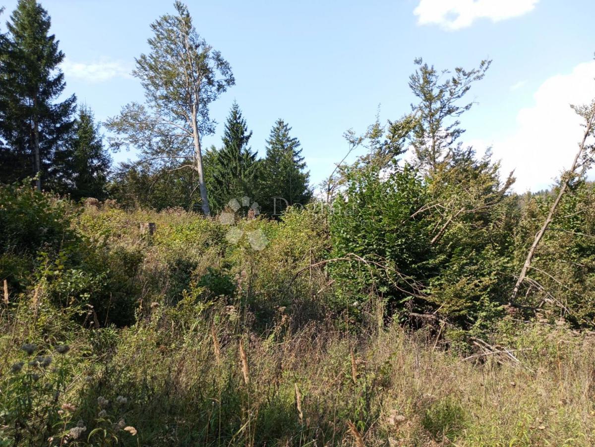 Terreno Delnice, 8.724m2
