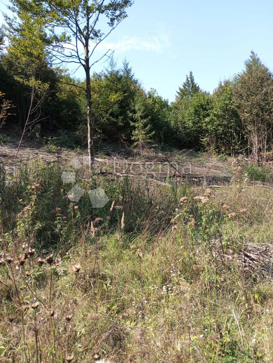 Terreno Delnice, 8.724m2