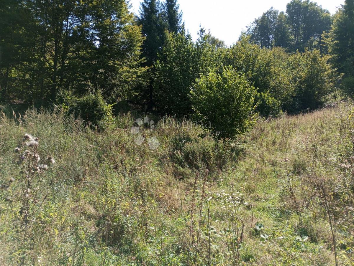 Terreno Delnice, 8.724m2