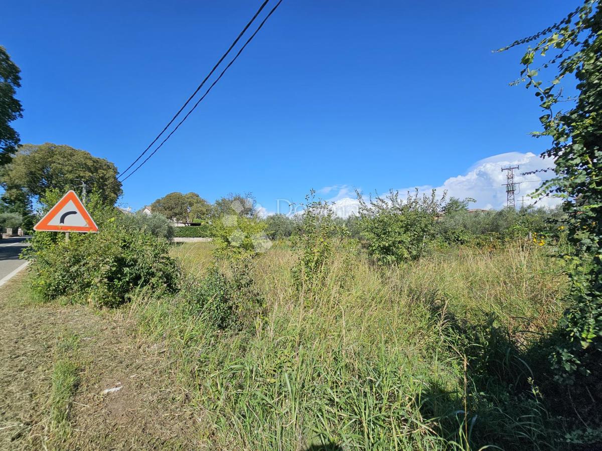 Terreno edificabile in una zona popolata del paese