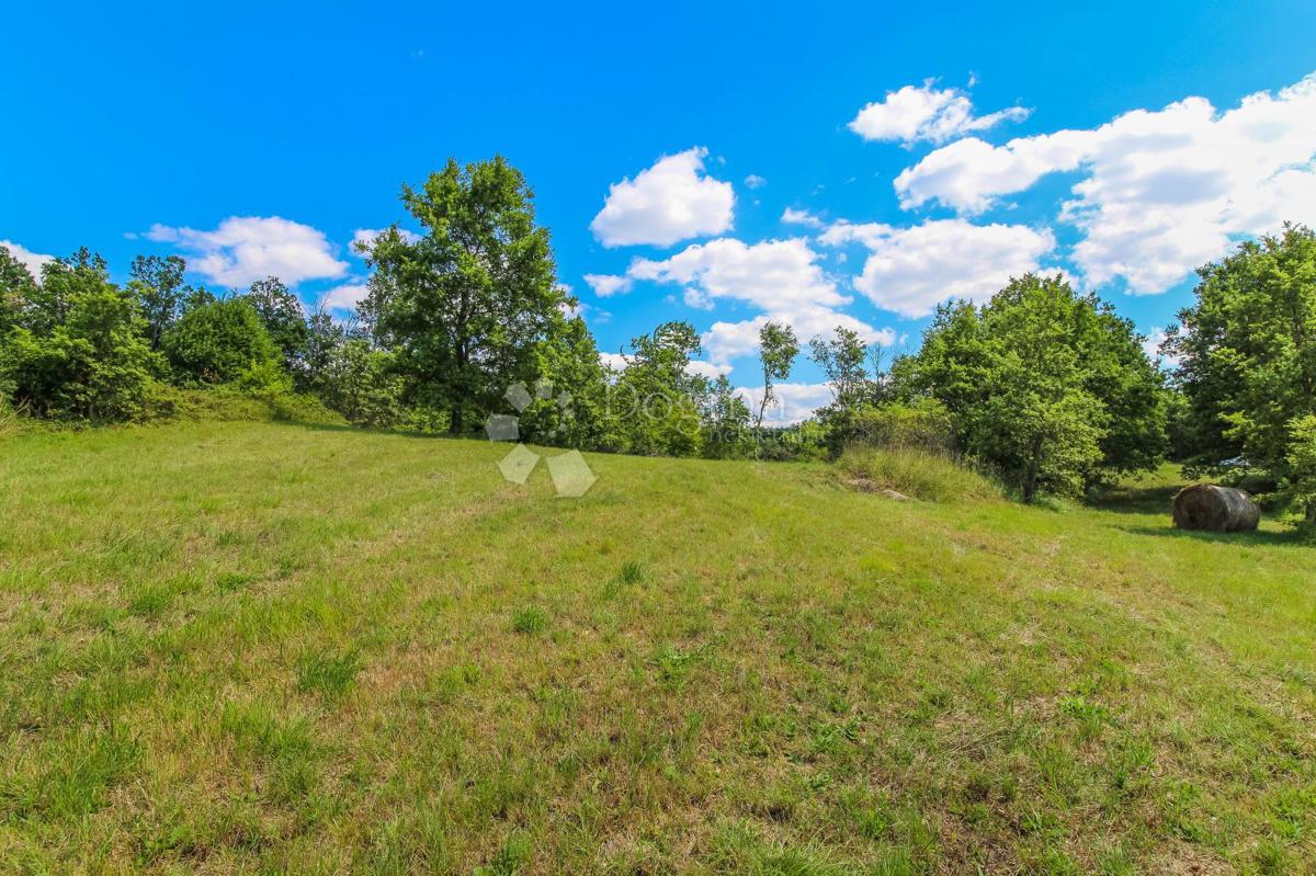 Terreno Šterna, Grožnjan, 1.579m2