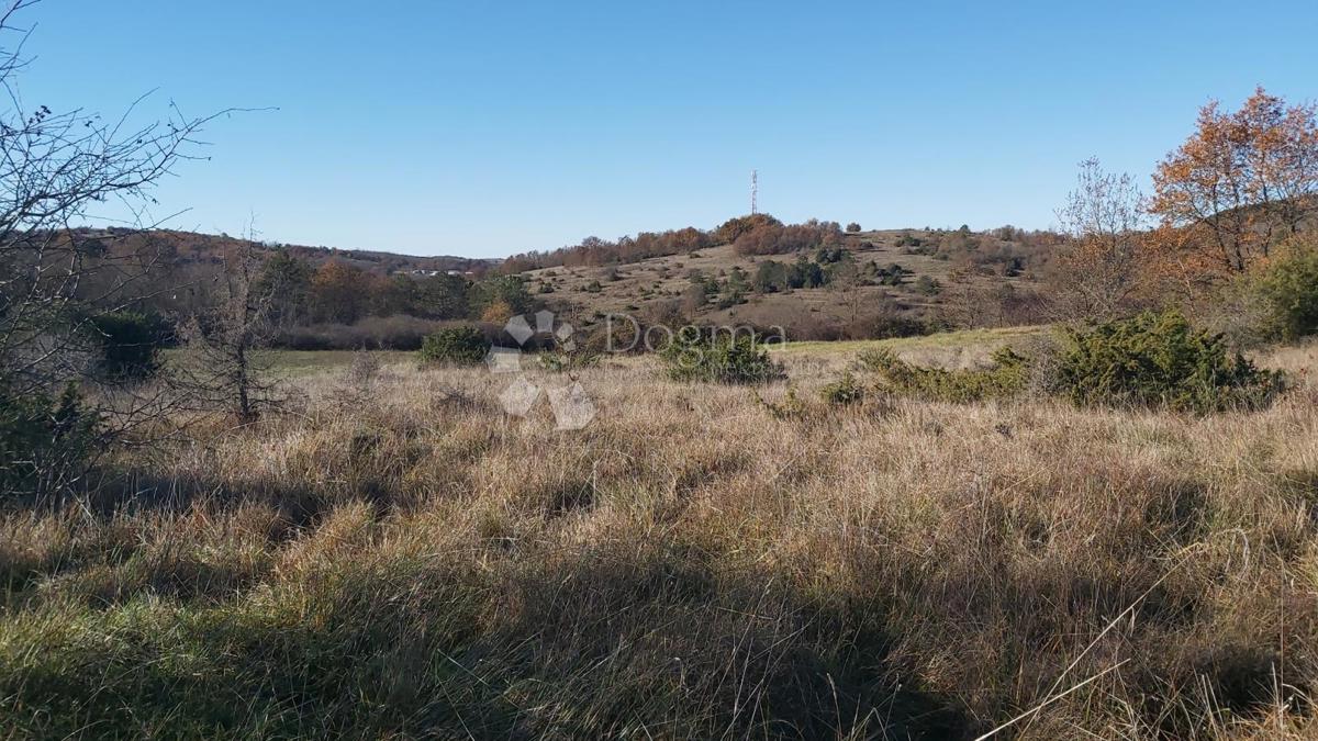 Terreno Trviž, Pazin - Okolica, 25.400m2