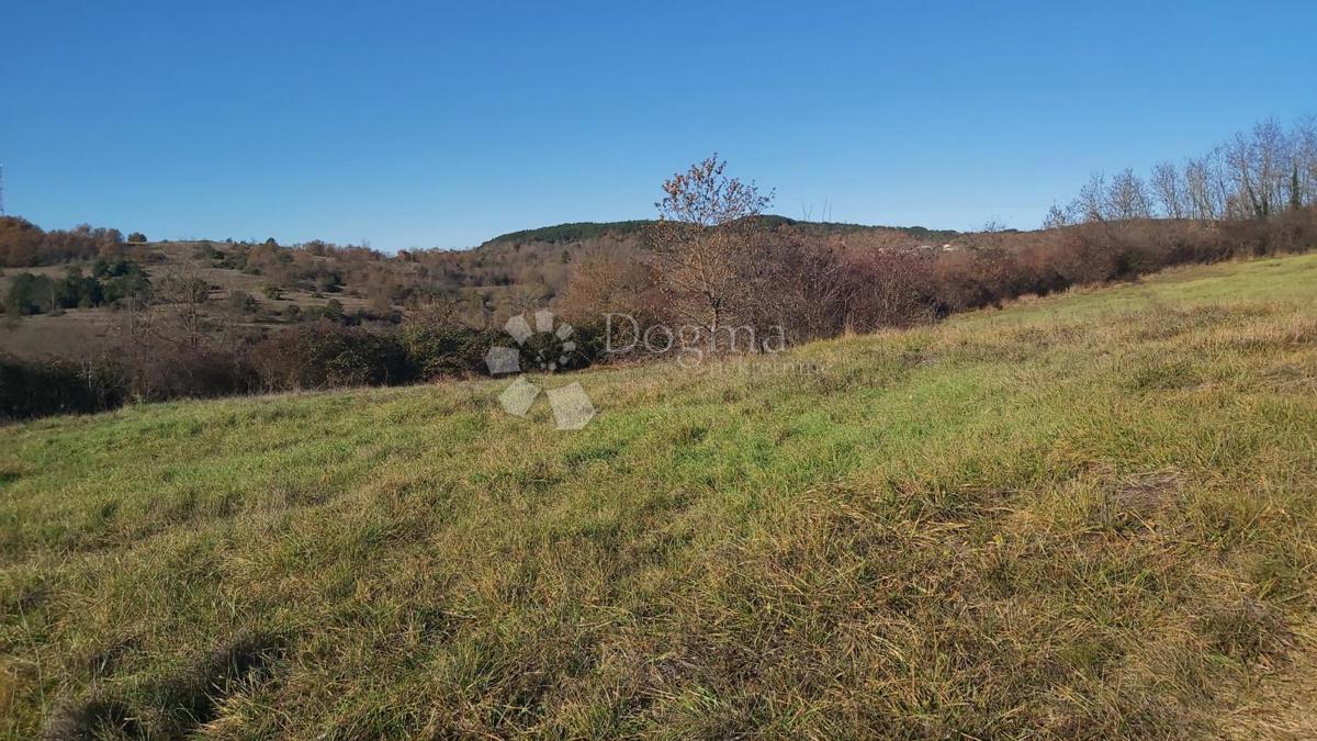 Terreno Trviž, Pazin - Okolica, 25.400m2