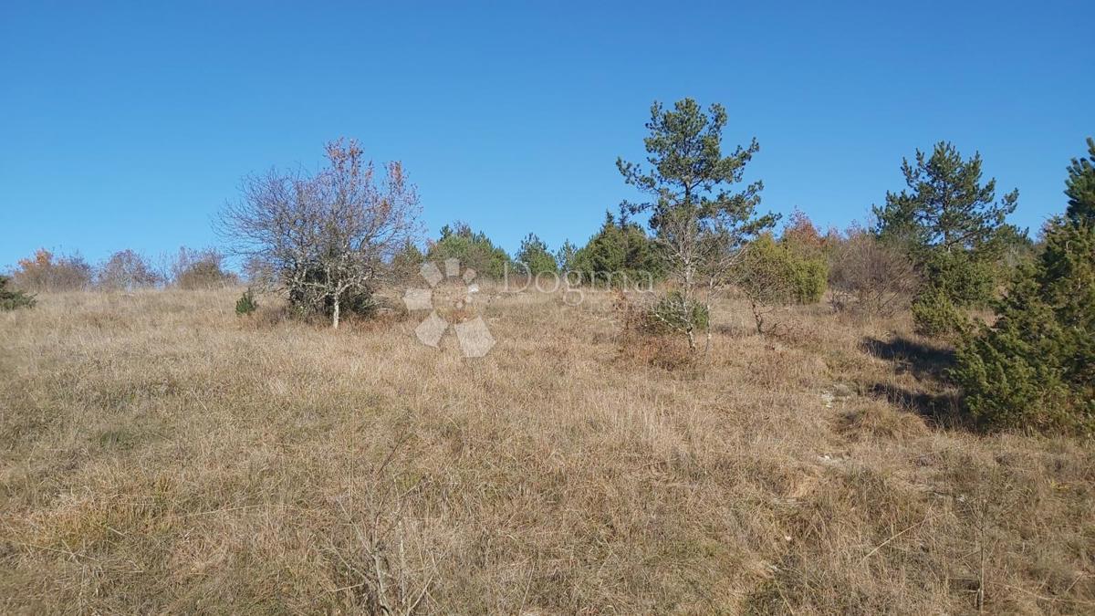 Terreno Trviž, Pazin - Okolica, 25.400m2