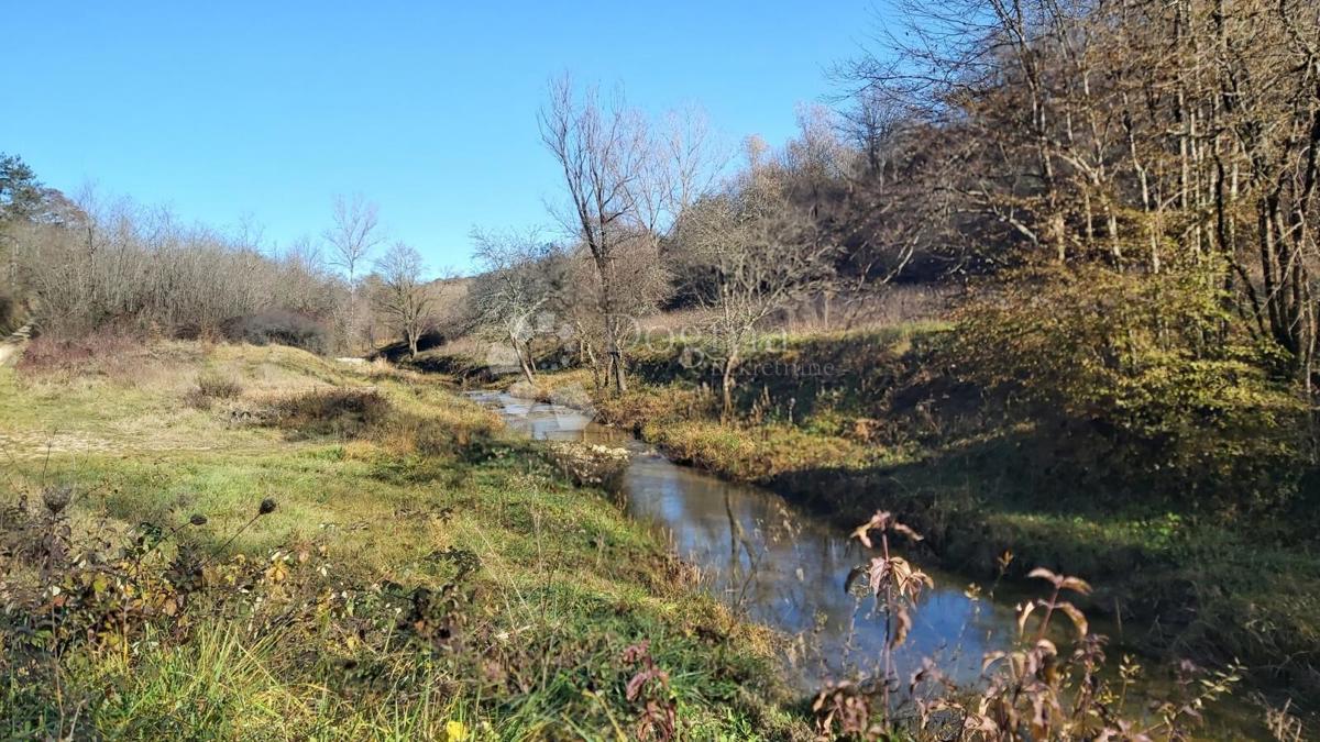 Terreno Trviž, Pazin - Okolica, 25.400m2