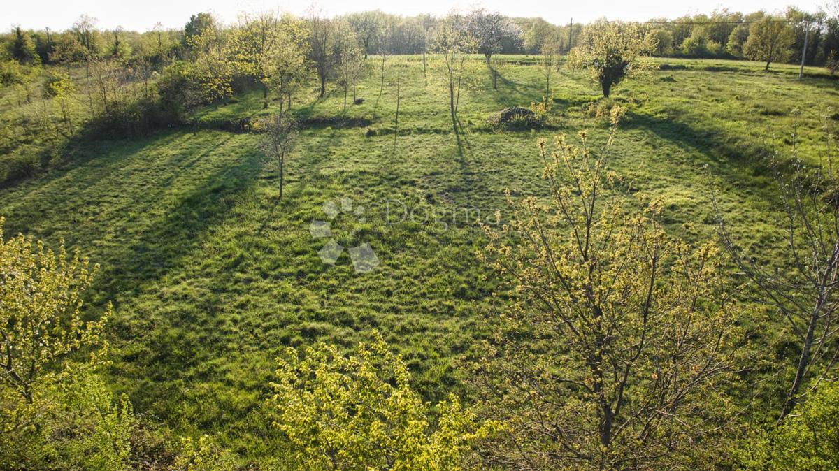 Terreno edificabile con progetto e permesso di costruire - ŽMINJ